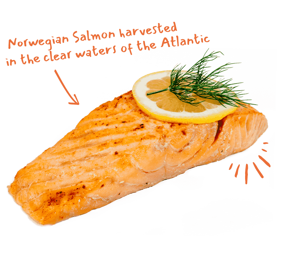 G&M Norwegian Salmon Fillet - harvested in the clear waters of the Atlantic